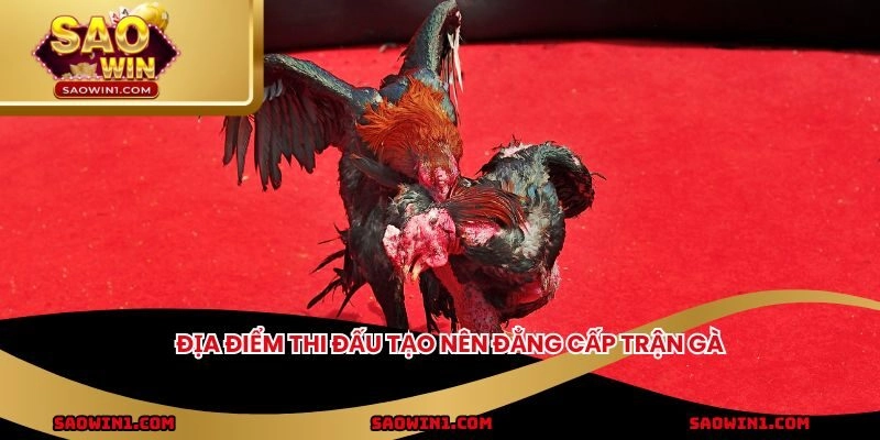 Địa điểm thi đấu tạo nên đẳng cấp trận gà